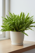 Compact artificial crocodile fern bush, 40cm