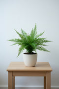 Dense dark green artificial wood fern bush, 60cm