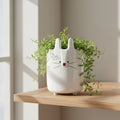 White ceramic rabbit pot planted with trailing greenery on a pale oak shelf