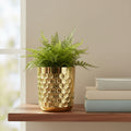 Gold honeycomb metal planter holding a fern on a walnut shelf beside books