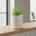 Speckled white honeycomb ceramic pot planted with a herb on a pale oak kitchen shelf