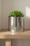 Polished silver planter holding a clipped green plant on a pale oak console table