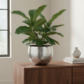 Hammered silver planter holding a leafy plant on a walnut sideboard