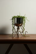 Silver bowl on a cast octopus base, planted with trailing greenery on a dark walnut console