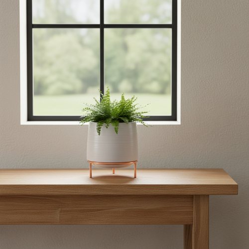 Ribbed white ceramic planter on a pale oak console table below a window