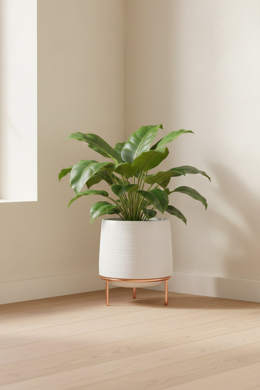 Ribbed white ceramic planter on copper legs holding a leafy plant in a sunlit corner